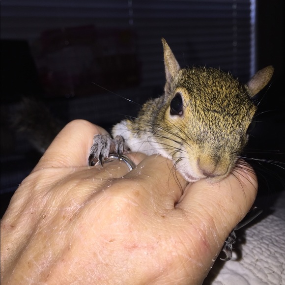 Meet your Posher, Rhea. - Picture 3 of 8